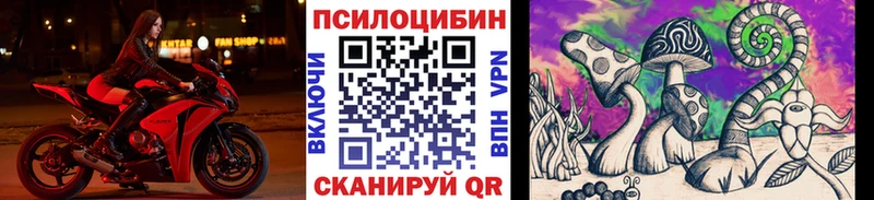 Купить закладки  Жуковский  Галлюциногенные грибы ЛСД